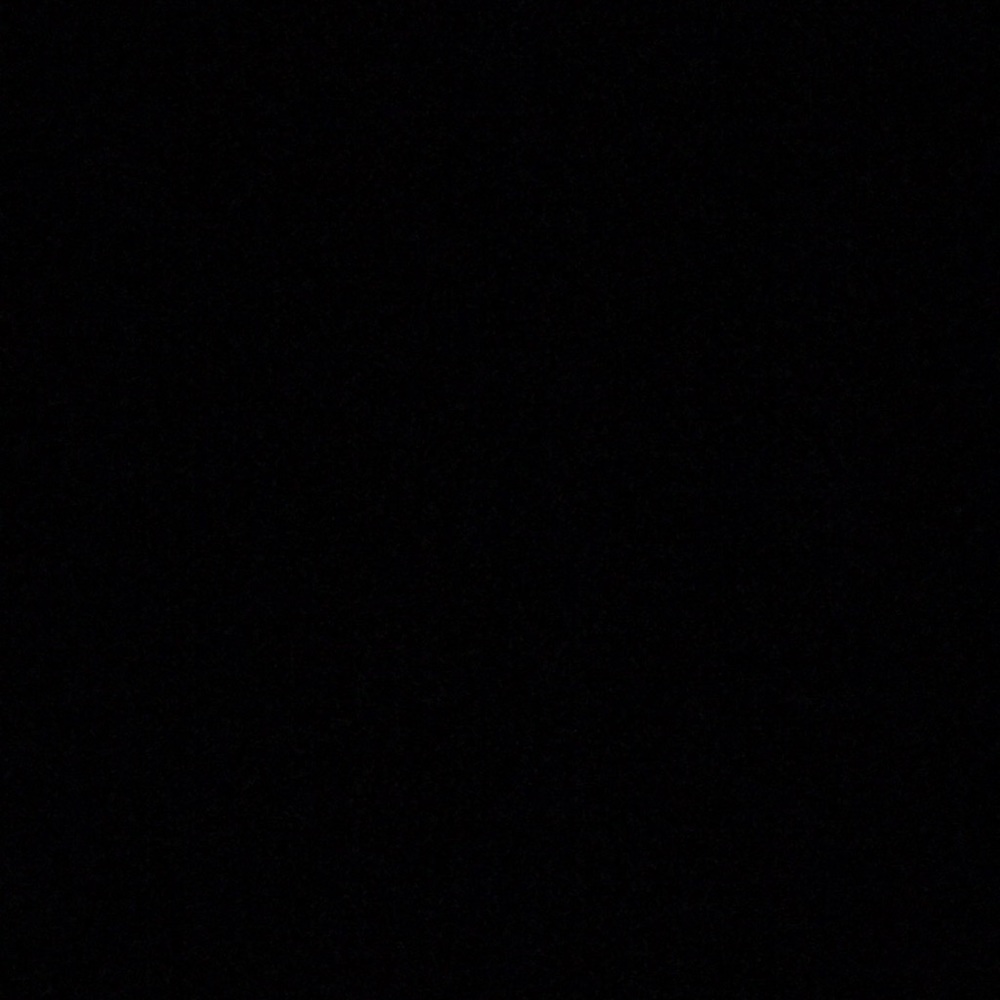 Meet your Posher, Elli